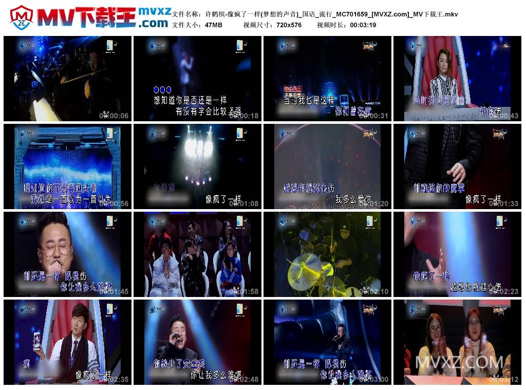 许鹤缤-像疯了一样(梦想的声音)_国语_流行_MC701659